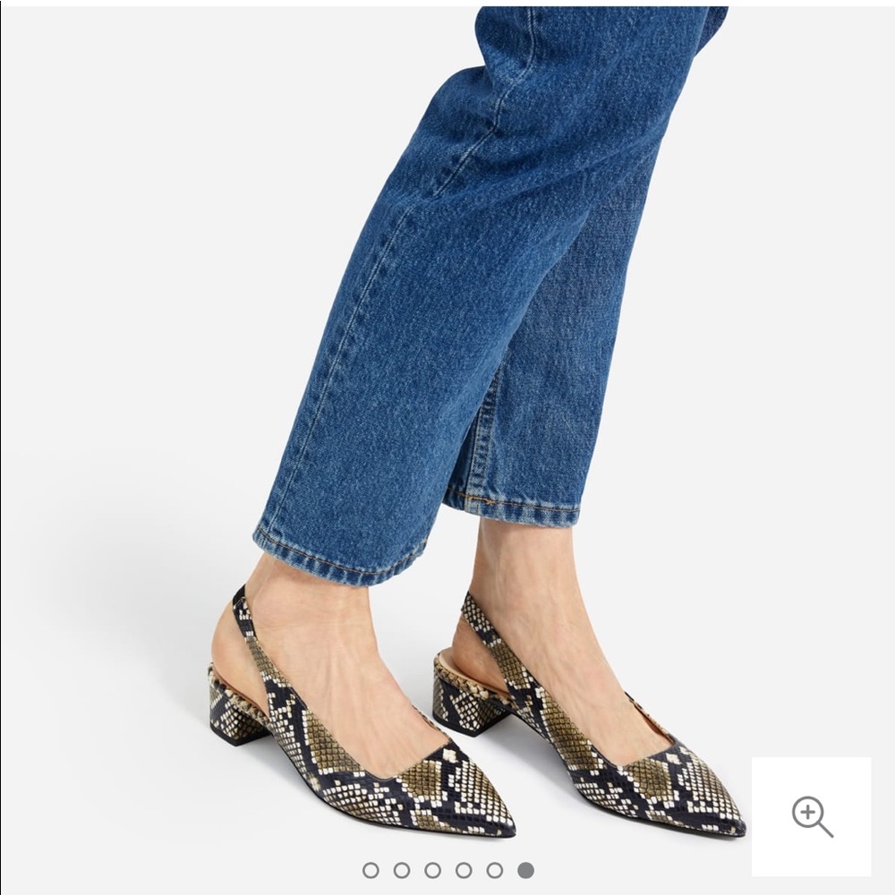 Everlane Editor Slingback Heels